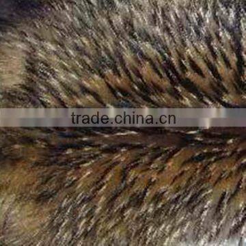 Raccoon Dog Skin