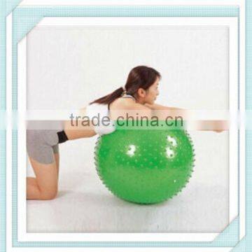 Sports Large Exercise Gym Ball