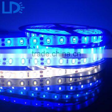 Hot Sell Strip 3528 150 300 Leds Flexible Rgb Led Strip Light photo-2