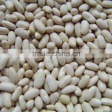 White Kidney Bean