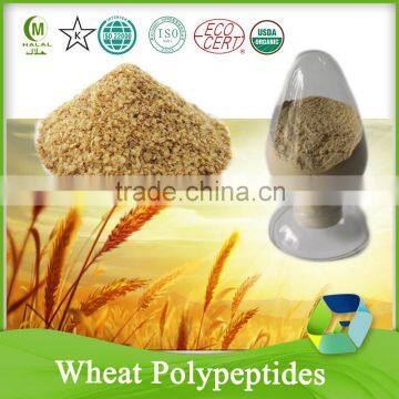 Wheat Polypeptides China Manufacturer