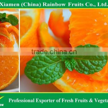 Fresh Mandarin orange sweet taste nice looking jackfruit leaves