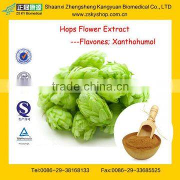 GMP Factory Supply Natural Xanthohumol from Hops Flower Extract