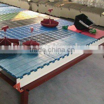 farrowing plastic fflooring