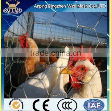 Hexagonal Chicken Wire Netting 3/4 inches Made in China