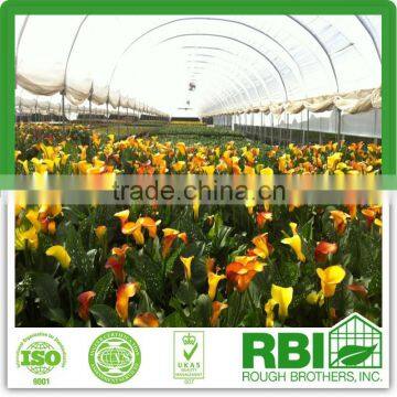 High Tunnel single or multi span galvanized steel plastic film cover low cost plant house or greenhouse for agricultural farming