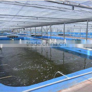 8MM Utra Clear Glass Greenhouse,Safety Greenhouse Glass photo-2