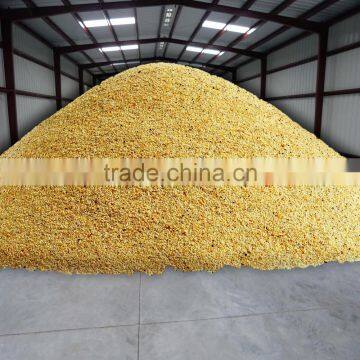 Hot Sale Prefabricated Steel Structure Grain Warehouse photo-3