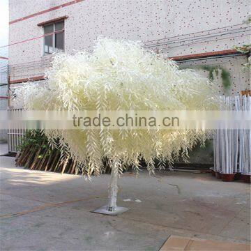 SJ20171392 Factory Ornamental Foliage Japanese Willow Tree photo-4