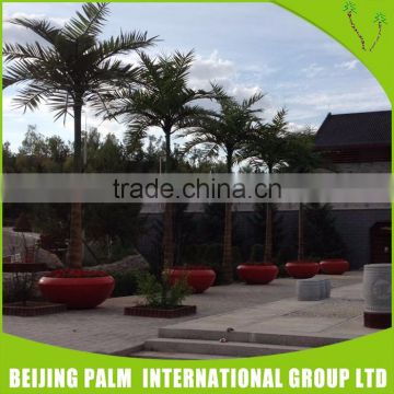 Customized Artificial Fake Outdoor Palm Trees