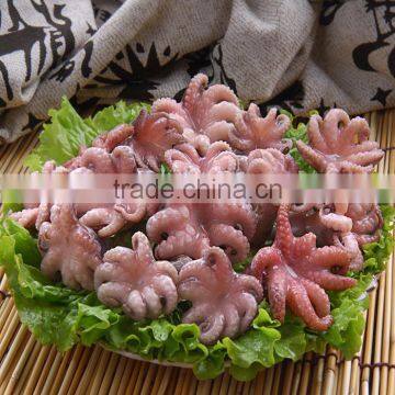Octopus Variety Baby Octopus size 40-60