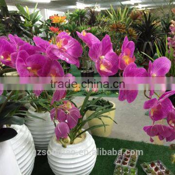 Factory Wholesale Artificial Orchid Flowers for Decoration photo-2