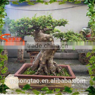 Artificial Plastic Banyan Tree 5-6ft high fake curved trunk for garden decoration