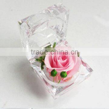 Natural Preserved Fresh Flowers Preserved Roses Wholesale For Wedding Birthday Lovers Gift photo-5