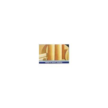 India Electrical Insulation Papers