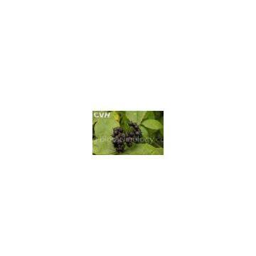 Siberian Ginseng Extract