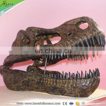 Museum exhibition fiberglass life-size dino head dinosaur fossil replicas dinosaur skeleton