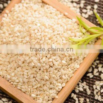 New crop white sesame