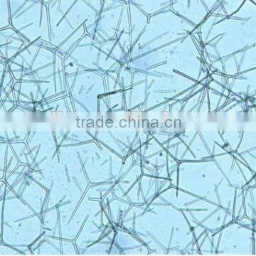 High Quality Zoology Slides ,high Quality Animal Slides photo-5