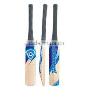 Kashmir Willow Cricket Bat Best Quality