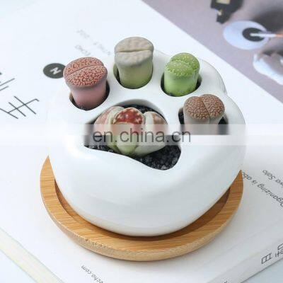 Simple White Creative Succulents Ceramic Cute Kitten Claw Treetop Planter Bamboo Stand Combination Potted Flowerpot