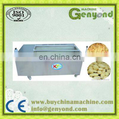Carrot Washing and Peeling Machine photo-5