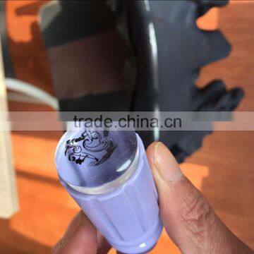 2016 New 2.8CM Clear Jelly Stamper +scraper Nail Art Stamp Collection Set-Manicure Image Plates Stamping Accessories Kit ST16 photo-3