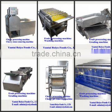 fruit stem removing machine / chilli stem removing machine