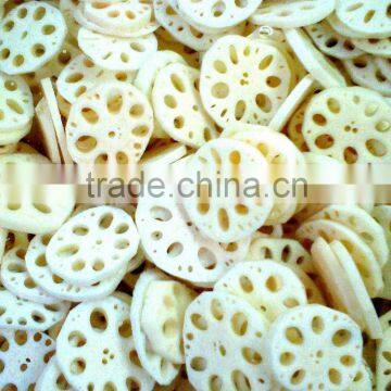 FROZEN LOTUS ROOT WITH BEST PRICE AND GOOD QUALITY