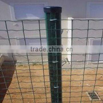 the Cheap Price Fence for Protective Tree Guard (15 Years Factory)