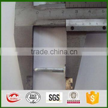 common nails for construction usage iron nails