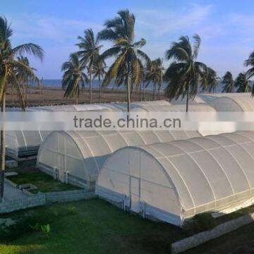 Greenhouse Film