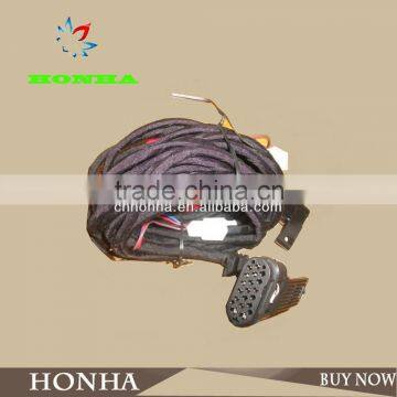 Automotive electronic wire harness