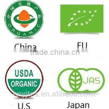 Green Tea Product Type and High Quality Organic Tea With Bag,Box Packaging photo-6