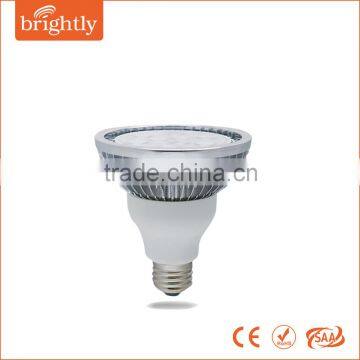 LED PAR30 12W Glass