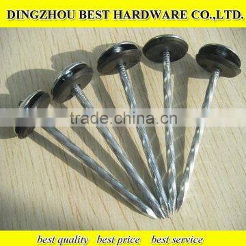 Twist Shank Roofing Nail photo-2