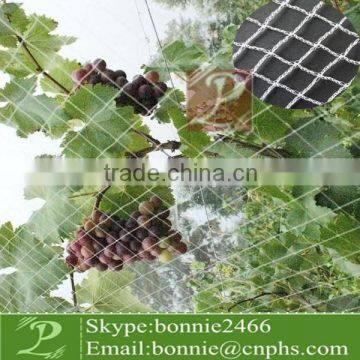 vineyard bird netting for protect grape