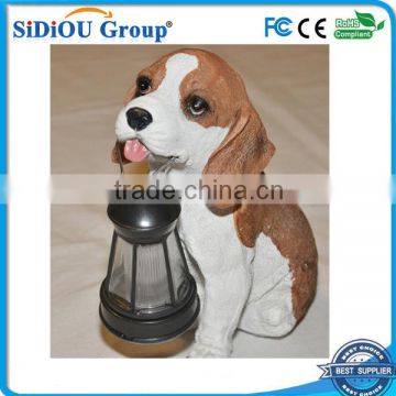 dog with solar lantern solar light