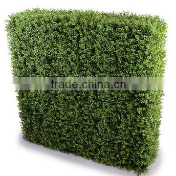 Buxus leaf shape artificial hedge, artificial grass wall