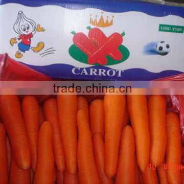 fresh 2014 crop bright red carrot so cheap price