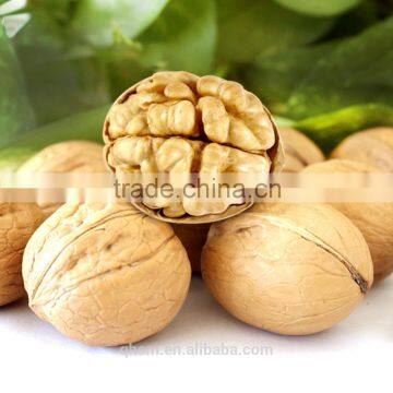 hot sell raw walnut, thin shell walnut price