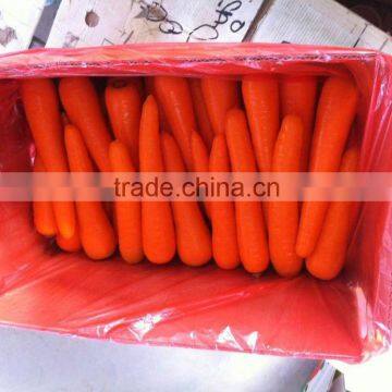 natural carrots for sale