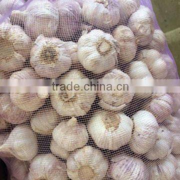 CHINA FRESH GARLIC photo-2