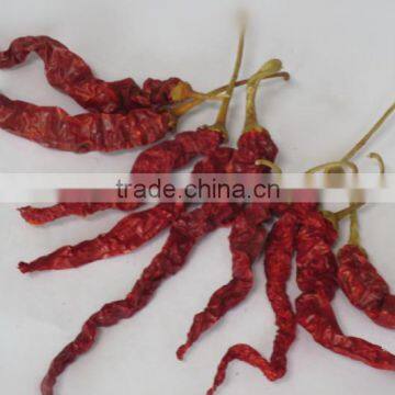 China exported stemless dried red xian chilli