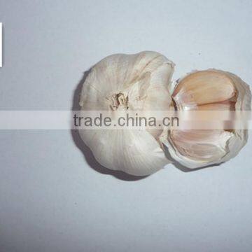 Dehydrated Vegetable Air Dried White Garlic photo-2