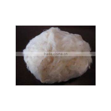 Raw Cotton S6 photo-2