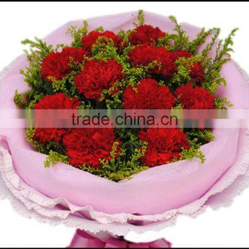 High quality fresh cut red carnation for Mother's day