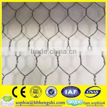 High quality hot dip galvanized hexagonal chicken wire mesh for sale