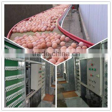 Good quality automatic egg collector with egg collection belt for chicken farm