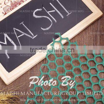 Plastic extruded net/HDPE mesh